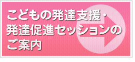 こどもの発達支援・発達促進セッションのご案内