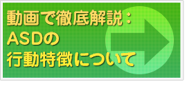 動画解説で徹底解説：ASDの行動特徴について