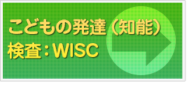 こどもの発達（知能）検査：ＷISC